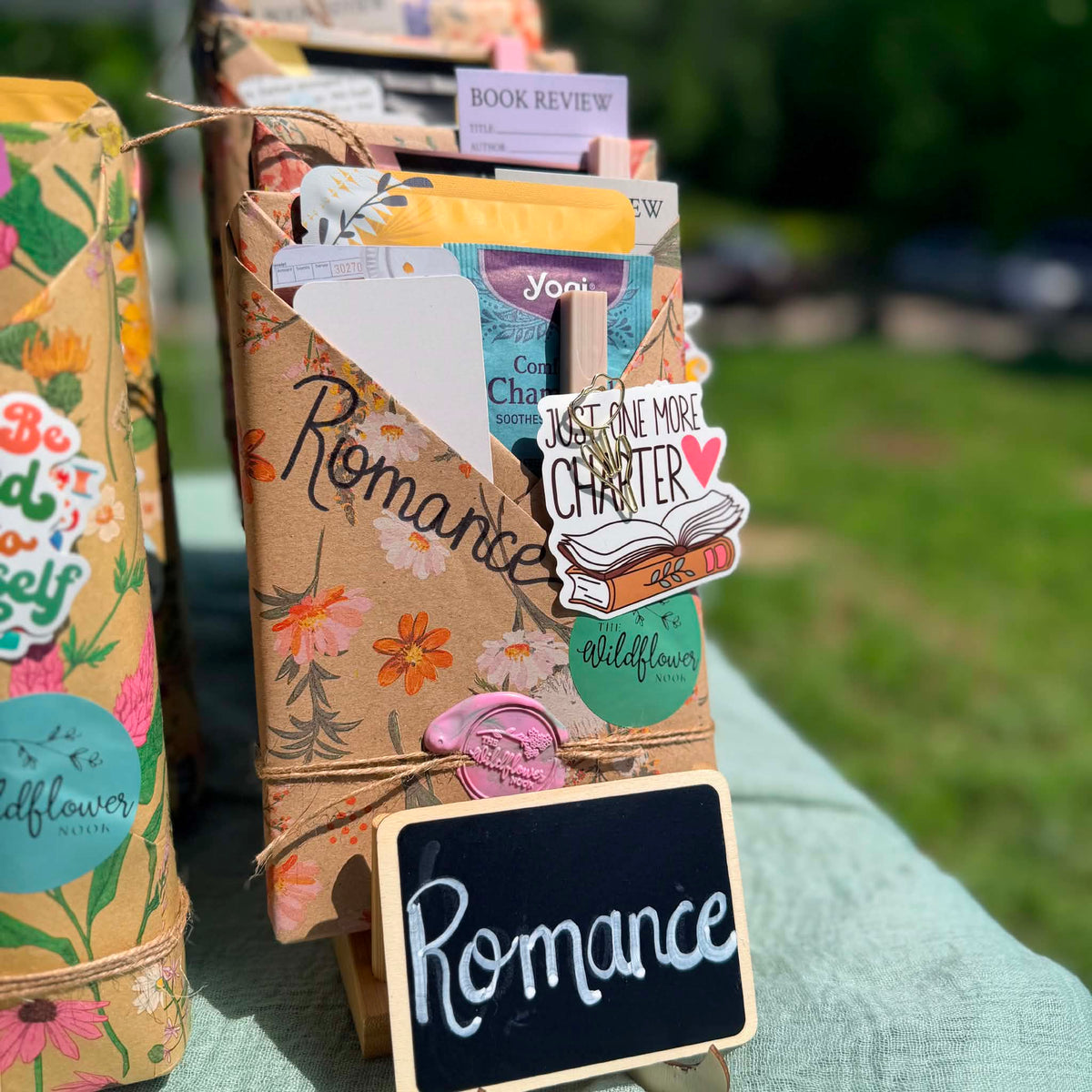Romance Blind Date with a Book